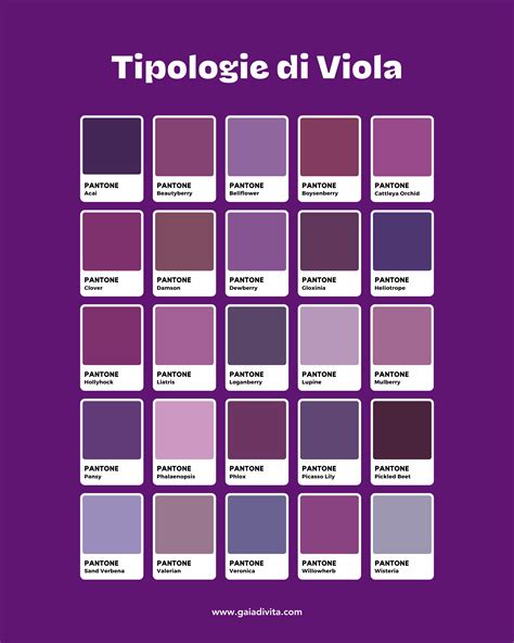 Copertina album Fantàsia con colori blu e viola