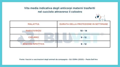 Schema di trasmissione anticorpi materni al feto