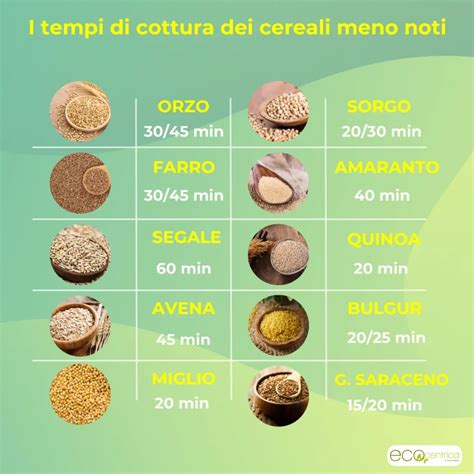 infografica che mostra la varietà dei cereali e la loro trasformazione in consistenze adatte ai bambini