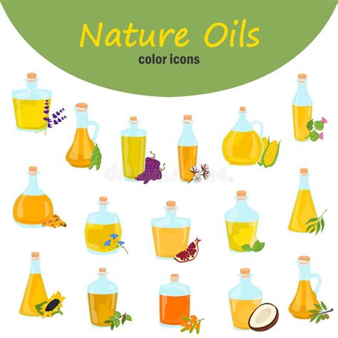 Illustrazione di vari oli naturali (borragine, mandorle, oliva)