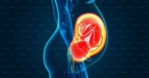 Feto in utero con indicazione di rischi FANS