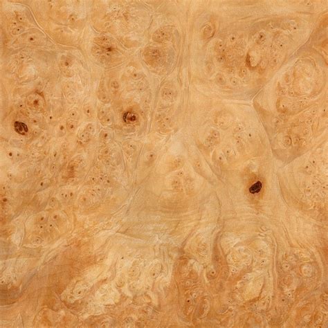 Dettaglio della texture del legno di acero levigato per una targhetta