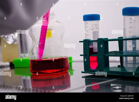 rappresentazione microscopica di cellule in coltura arricchite con siero fetale bovino
