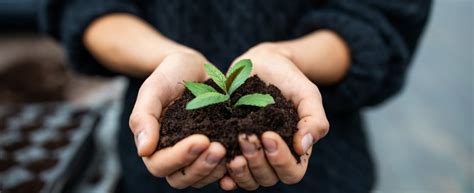 agricoltore che mostra un pugno di terra nera fertile e ricca di humus