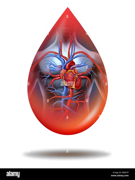 immagine stilizzata di un cuore spezzato con una goccia di sangue