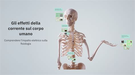 Effetti della cintura Physiomat sul corpo