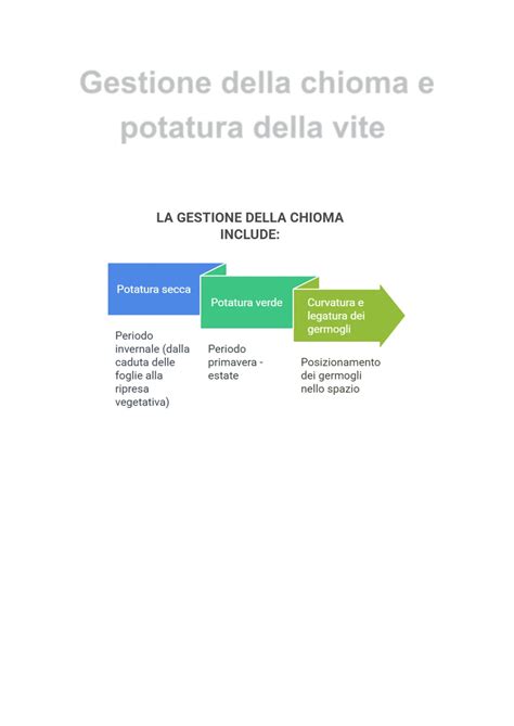 schema della gestione della chioma e cimatura in vigneto