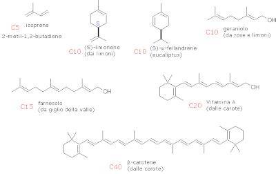 Composizione chimica dell'olio essenziale di rosmarino