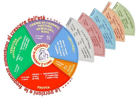 grafico che illustra le fasi di introduzione dei cibi complementari tra i 6 e i 24 mesi