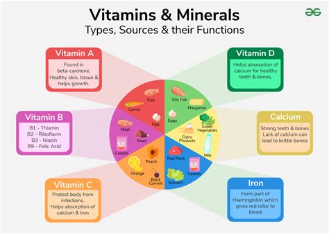 Diagram of key vitamins and minerals for puppy development