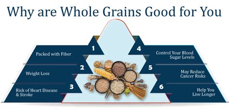 Infographic showing the benefits of Playdog Premium Quality Line and the role of whole grains