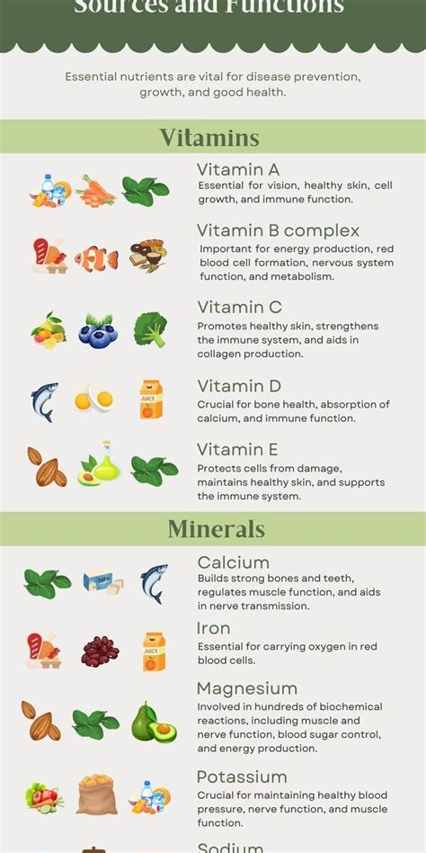 Infographic of vital puppy vitamins and their functions