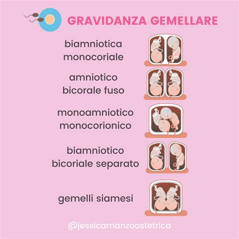 Schema comparativo tra le tipologie di placenta nelle gravidanze gemellari