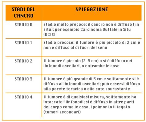 Diagramma illustrativo degli stadi del tumore di Wilms