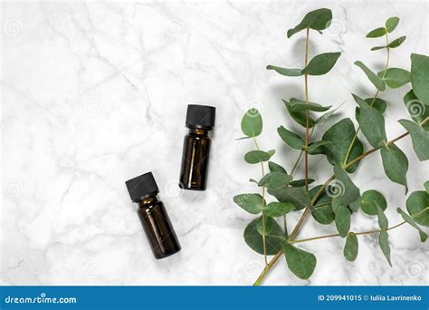 Eucalipto foglie e olio essenziale