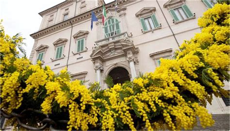 Simbolo della mimosa, scelto da Teresa Mattei