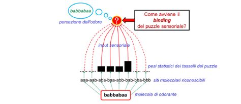 Illustrazione schematica: Il contrasto tra la comunicazione ad alto volume e il metodo del bisbiglio