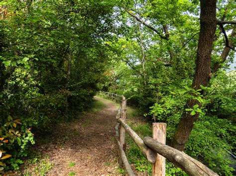 Sentiero nel bosco della Val di Nos accessibile