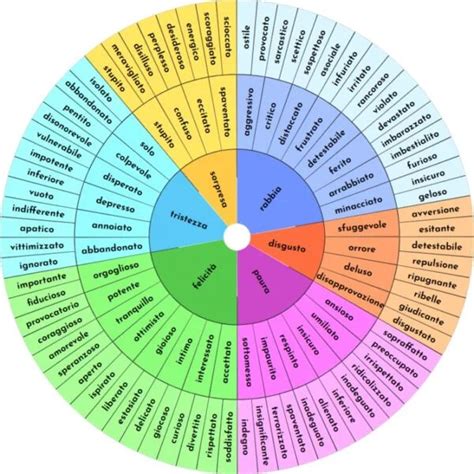 Ruota delle Emozioni con codici colore