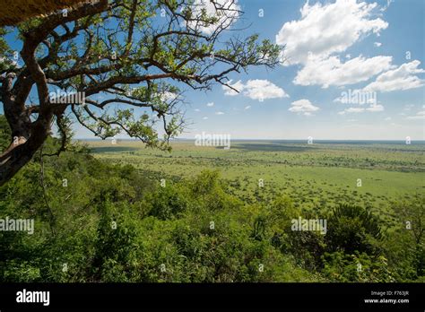 Parco nazionale Kruger paesaggio