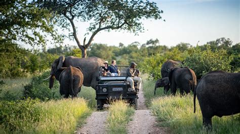 Safari nel Kruger