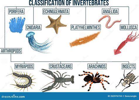 Bioma marino ricco di vita acquatica, mostrando diverse specie di invertebrati che potrebbero rilasciare crostacei