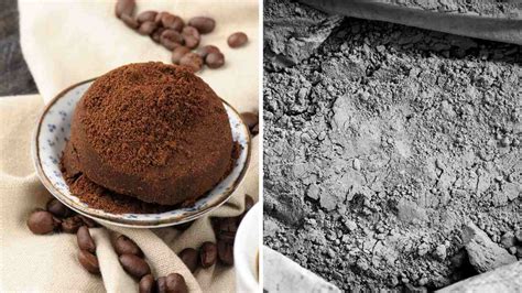 Fondi di caffè essiccati pronti per l'uso