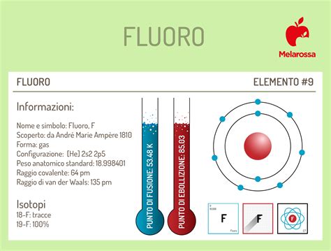 Diagramma che illustra come il fluoro rinforza lo smalto dentale