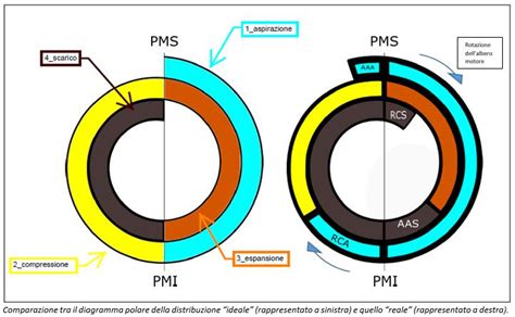 Diagramma della distribuzione del peso in gravidanza