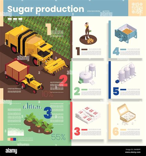 Infografica che illustra le fasi dell'aborto farmacologico.