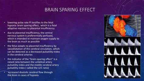 schema del Brain Sparing Effect e ridistribuzione dei flussi