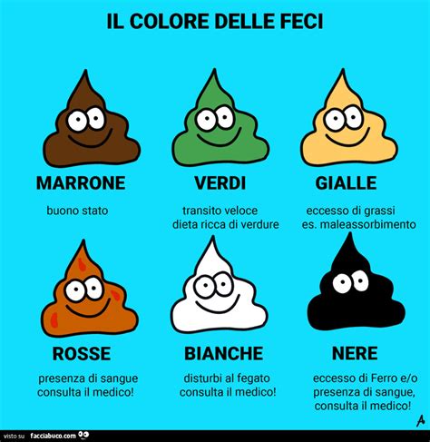 infografica sulle tipologie e colori delle feci infantili