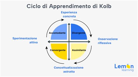 schema del ciclo di apprendimento dell'ostetrica nel laboratorio di simulazione