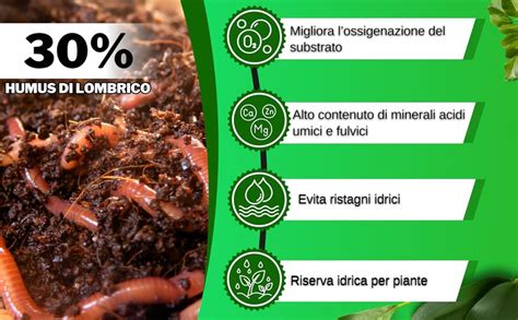 dettaglio di humus di lombrico di alta qualità con tessitura fine