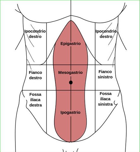 Illustrazione di un addome gonfiato con un punto interrogativo