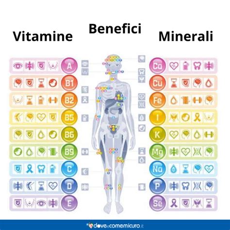 Infografica comparativa vitamine e minerali nel latte materno vs latte formulato BBmilk