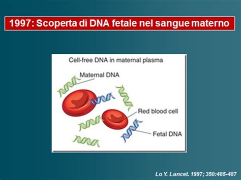 DNA fetale libero nel sangue materno