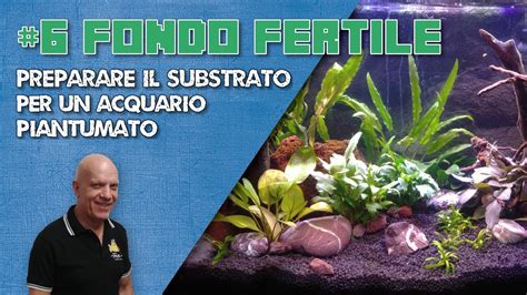 Acquario piantumato con diversi tipi di substrato visibili