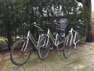 Biciclette a disposizione degli ospiti dell'Hotel Alexandra