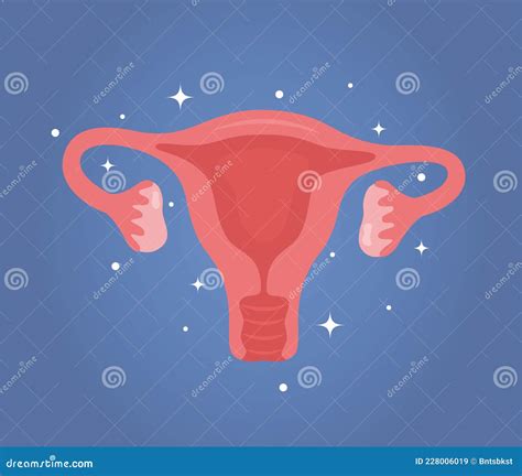 illustrazione concettuale sulla salute riproduttiva femminile