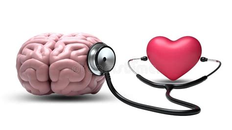 rappresentazione stilizzata dell'equilibrio tra cuore e cervello