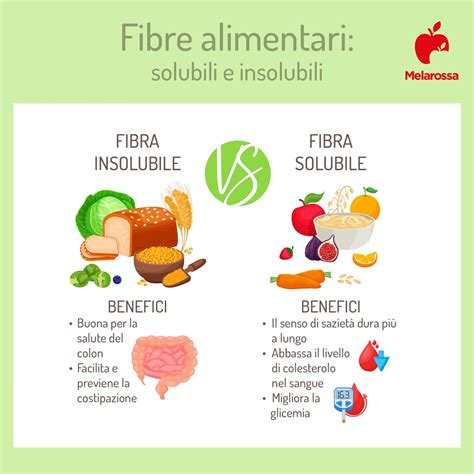 schema dei benefici dei diversi tipi di fibre solubili e insolubili nella dieta quotidiana