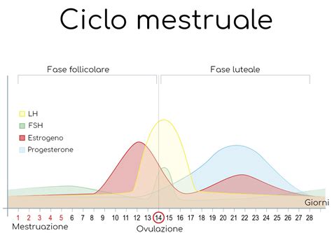 Ciclo mestruale e fluttuazioni ormonali