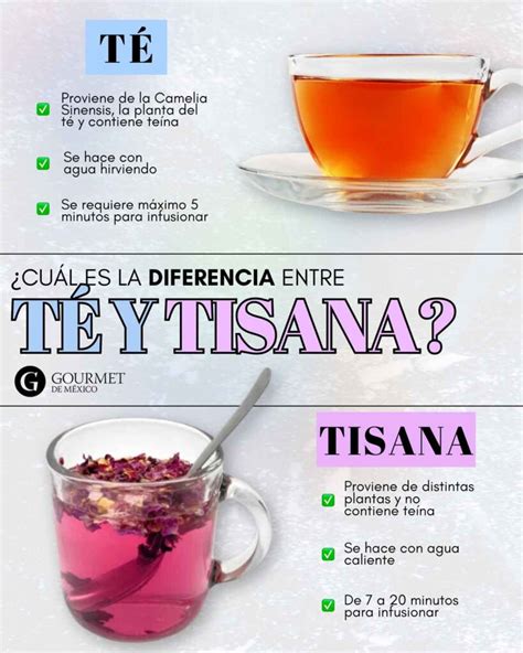 Infografica: Tè vs Tisana
