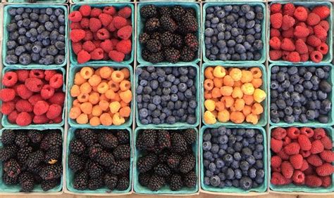 Composizione visiva di frutti di bosco: fragole, lamponi, more