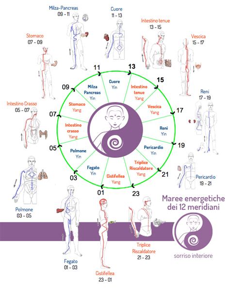 Diagramma dei meridiani energetici nella Medicina Tradizionale Cinese