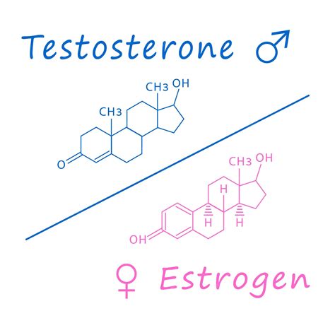 Androgeni e Estrogeni a confronto nella donna