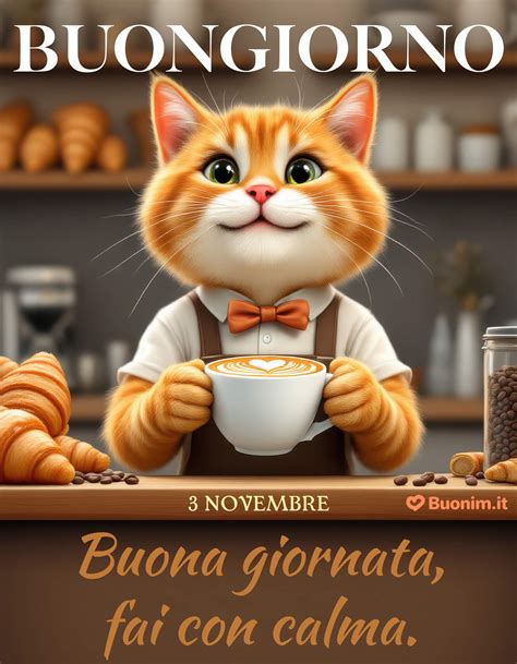 Illustrazione di un gattino che impasta con le zampe anteriori su una coperta