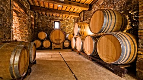 Cantina con botti di legno per affinamento vino Ansonica