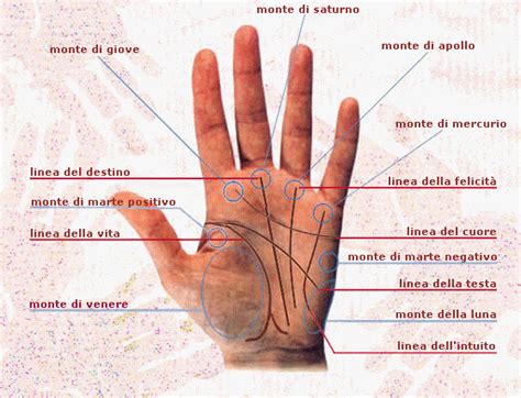 rappresentazione stilizzata di un palmo della mano con linee evidenziate